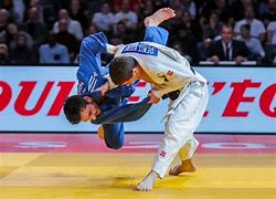 Image result for Olympic Judo Gi