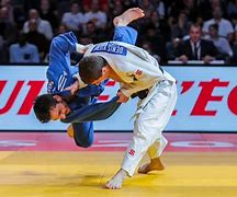Image result for Judo Game