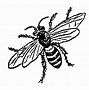 Image result for Cricket Insect Cartoon