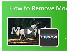 Image result for Movavi Watermark Remover