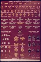 Image result for Prince Harry Military Medals