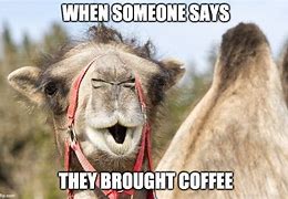 Image result for Funny Hump Day Coffee