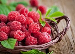 Image result for Singular Raspberry Fruit