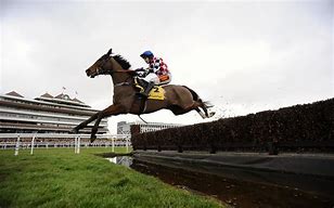 Image result for Pic of Racing Horse of Wallpaper