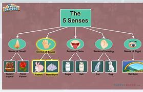 Image result for Apple 5 Senses Worksheet