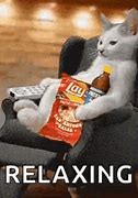 Image result for Cat Relaxing Meme