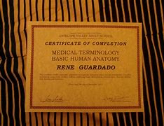 Image result for Medical Terminology Certificate