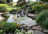 Image result for Back Yard Streams and Waterfalls