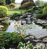 Image result for Pond Waterfall