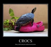Image result for Funny Crocs
