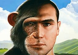 Image result for Human and Ape Similarities