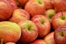 Image result for Large Gala Apples