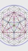 Image result for Sacred Geometry Patterns