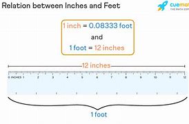 Image result for 24 Inches to Feet