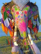 Image result for Pinterest Colorful India