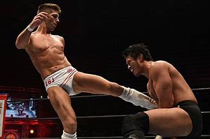 Image result for Wrestling in Japan