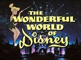 Image result for The Wonderful World of Disney's Tinkerbell