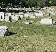 Image result for Cemetery Plot Forms