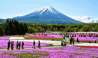 Image result for Hakone National Park Japan