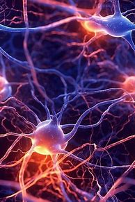 Image result for Brain Cell Illustration