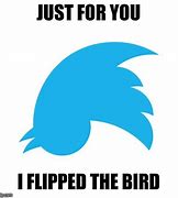 Image result for Twitter Bird Meme