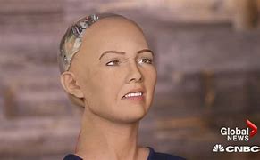 Image result for Sophia Robot Destroy Humans