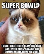 Image result for Cat Meme Monday After Super Bowl