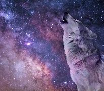 Image result for Anime Wolf Girl Galaxy