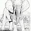Image result for Realistic Animal Coloring Pages
