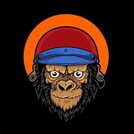 Image result for Monkey Head Helmet Cartoon