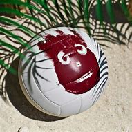 Image result for Wilson Volleyball Pic