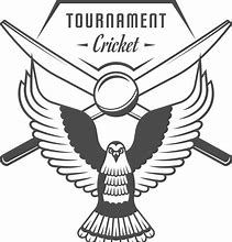 Image result for Cricket Tournament Logo