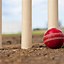 Image result for Cricket Ball and Stumps