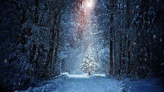 Image result for Holiday Winter 8K Wallpapers