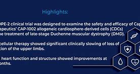 Image result for Stages of DMD