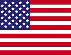 Image result for Current American Flag