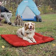 Image result for Best Outdoor Dog Bed