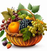 Image result for Basket of Fruits PNG