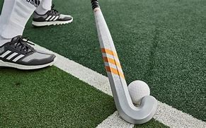 Image result for Hockey Sticks Product