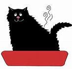 Image result for Black Cat Child Anime