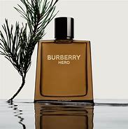 Image result for G B for Burberry