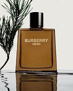 Image result for Budberry