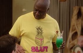 Image result for Brooklyn 99 Memes Pineapple Shirt