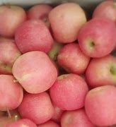 Image result for Different Shade of Apple Fruit