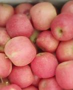 Image result for Pink Fruit Like Apple