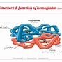Image result for Avalon Body Structure
