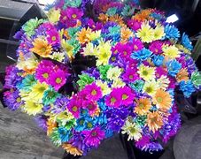 Image result for Bold Bright Colored Flowers