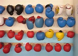 Image result for Boxing Gloves for Kids