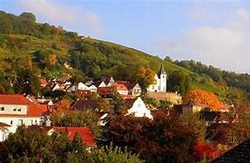 Image result for co_to_znaczy_zwingenberg
