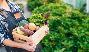 Image result for Why Shop Local Food